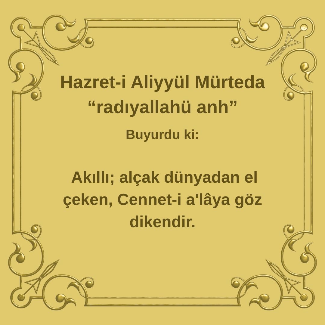Aliyyül Mürteda (83)